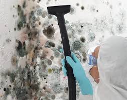 Best Industrial Mold Remediation  in Enochville, NC